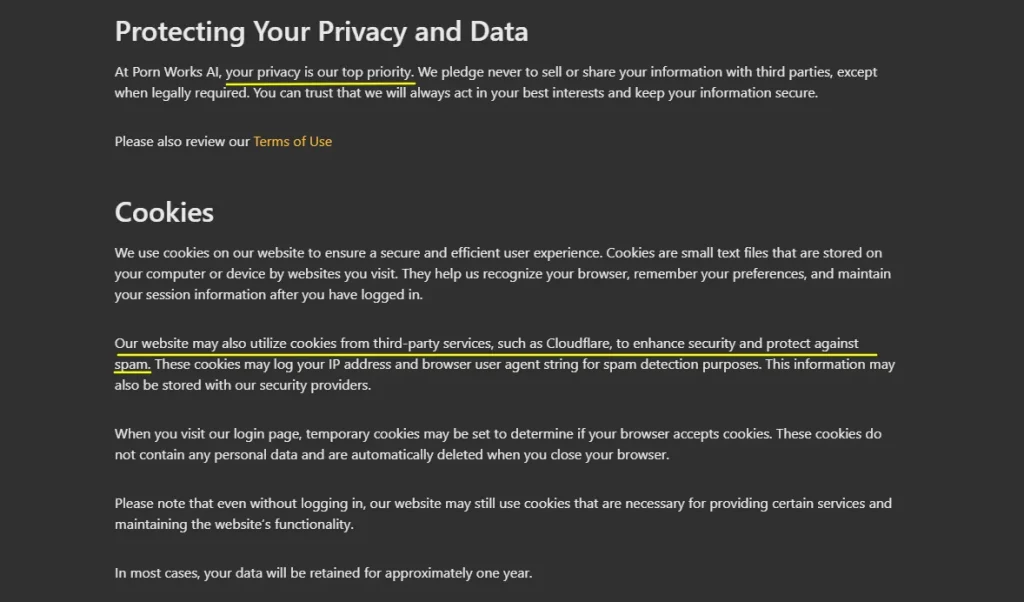 PornWorks AI -Privacy Policy