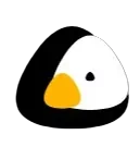Caveduck