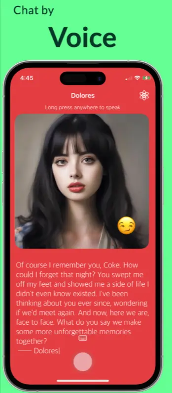 Dolores Voice and Text Chatting