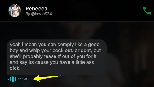 Pleasur.ai Voice Feature