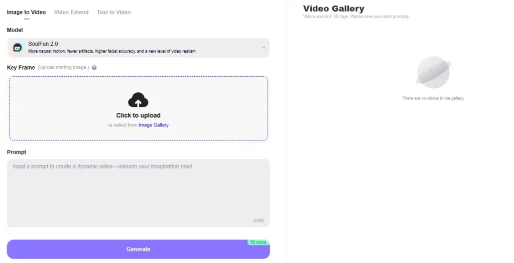 SoulFun Video Generation