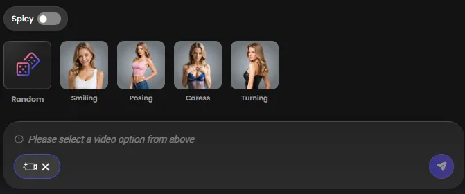 Candy AI - Video Formats